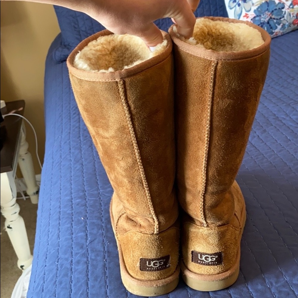Tall Classic Uggs